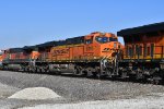 BNSF 6195 Roster shot.